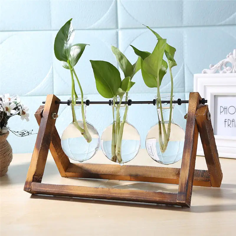 Glass and Wood Vase Planter Table Decor