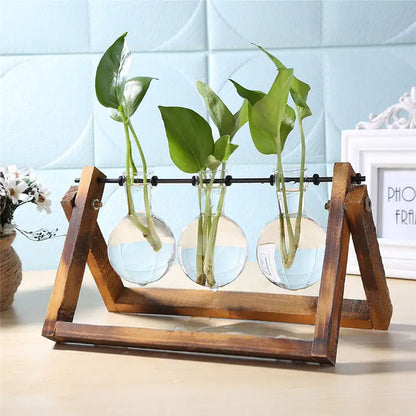 Glass and Wood Vase Planter Table Decor
