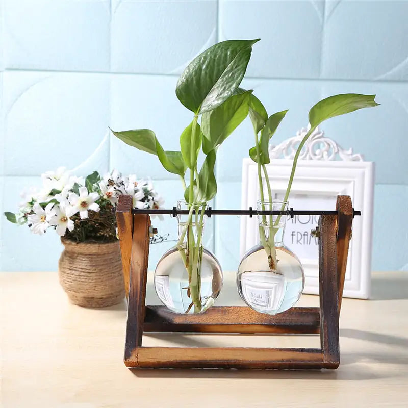 Glass and Wood Vase Planter Table Decor